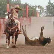 mundocharro.com Javiercito