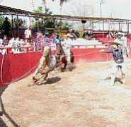 mundocharro.com Javiercito