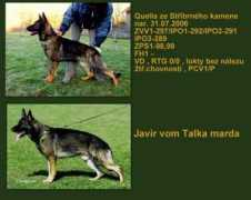 Javir