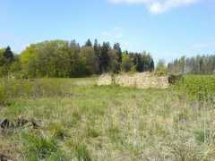 Javorka