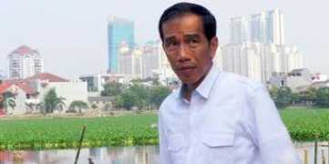 megapolitan.kompas.com Jawaban