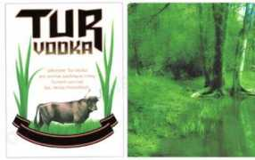 tm.kurzy.cz Jawna