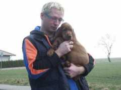 irish-setter-of-tender-dawn.de Jazara