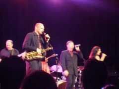 songsofdavid.com Jazzed