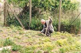 peres-blancs.cef.fr Jeanney