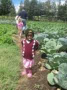 asfaber.aimsites.org Jeddiah