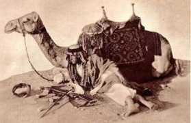 jordanjubilee.com Jedha