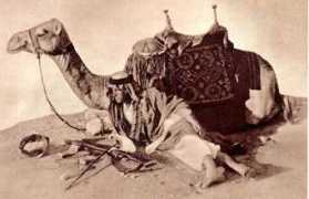 jordanjubilee.com Jedha