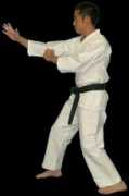 essenceofevolution.com Jeetkunedo