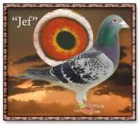 Jef