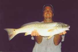 Jeffred