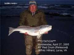 fishtradewinds.com Jefh