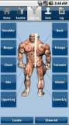 Jefit