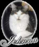 Jehnna