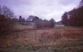 Jeksen