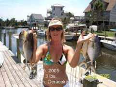 fishtradewinds.com Jenfer