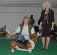 basset-hermelin.com Jenicek