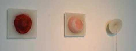 museepla.ulg.ac.be Jenicot