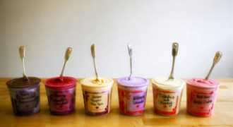 Jenis