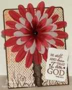 splitcoaststampers.com Jenmarie
