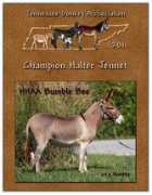 momsdonkeys.com Jenneta