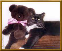 fourpawsinheaven.com Jenrich