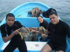 grupojaragua.org.do Jensin