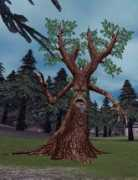everquest.allakhazam.com Jerg