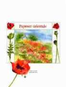 bindweed.ipower.com Jeriann