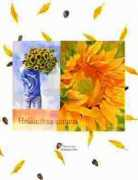 bindweed.ipower.com Jeriann