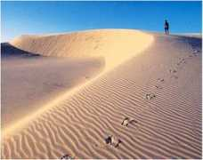 bacctravel.com Jericoacoara
