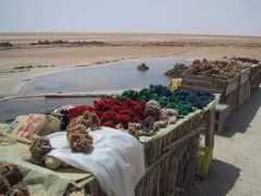 lexicorient.com Jerid