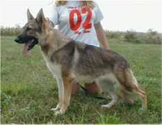 raebark.info Jeromeo