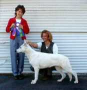 unitedwhiteshepherdclub.org Jeromeo