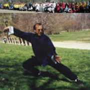 worldtaichiday.org Jesaitis