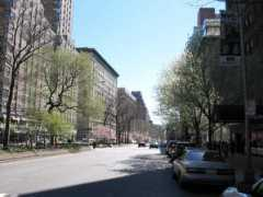biking-in-manhattan.com Jeshuran