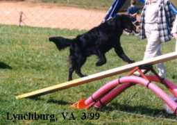 blazinkennels.com Jessena