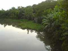 Jessore