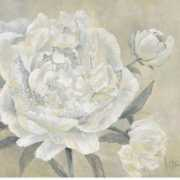 fulcrumgallery.com Jettie