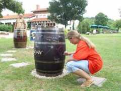 gpsgames.hu Jevica