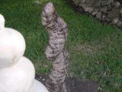 sculptorsdominion.com Jewart