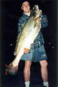 ausfish.com.au Jewie