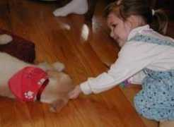 poochiepals.com Jgab