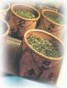 kalyanitea.com Jhuri