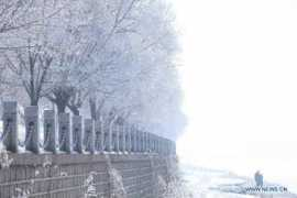news.xinhuanet.com Jiangbin