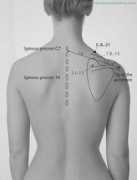 acupunctureschoolonline.com Jianjing