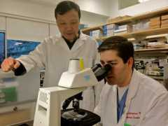 ucsf.edu Jianqin