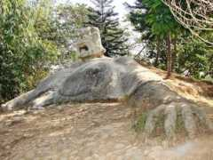 panoramio.com Jiant