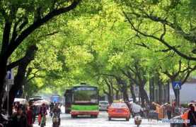 news.xinhuanet.com Jianzheng