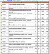 segodnya.ua Jidal